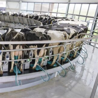 Karuzele udojowe v3 (Large)